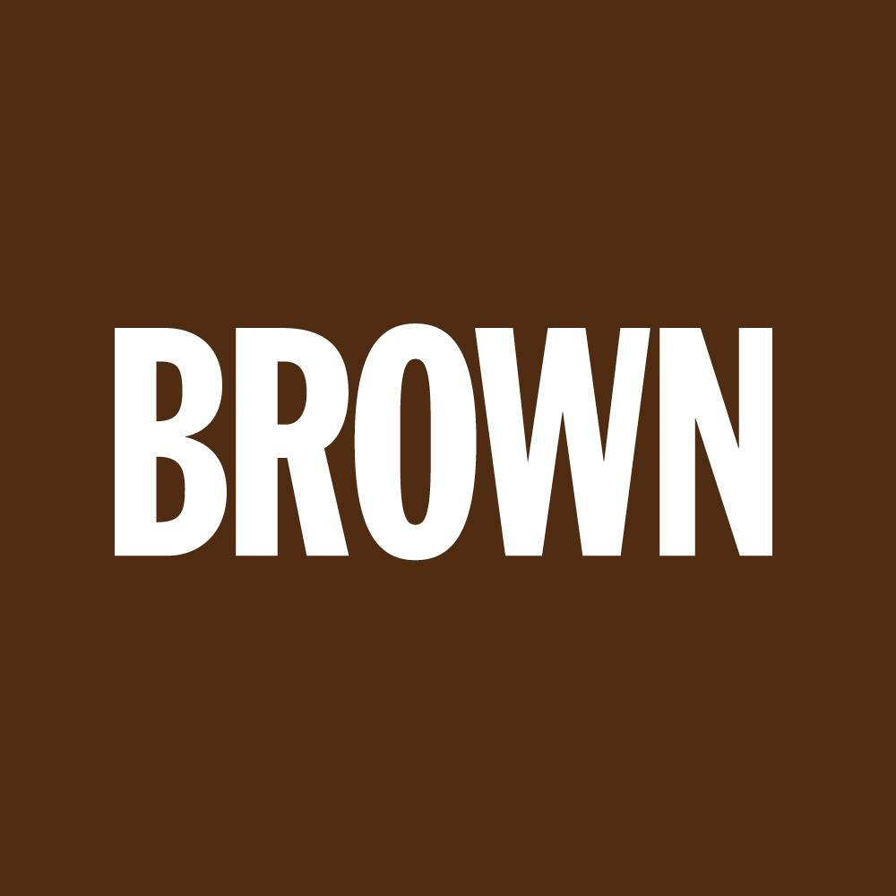 Brown Institute