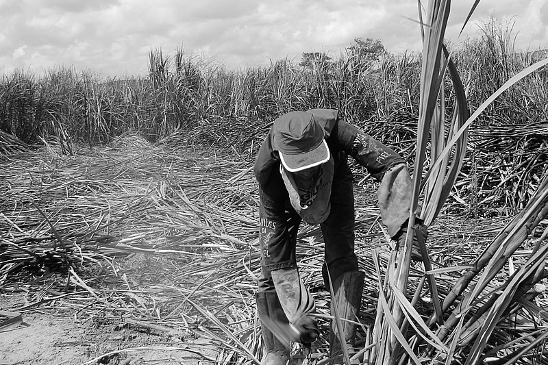 Slave labor tax exemptions